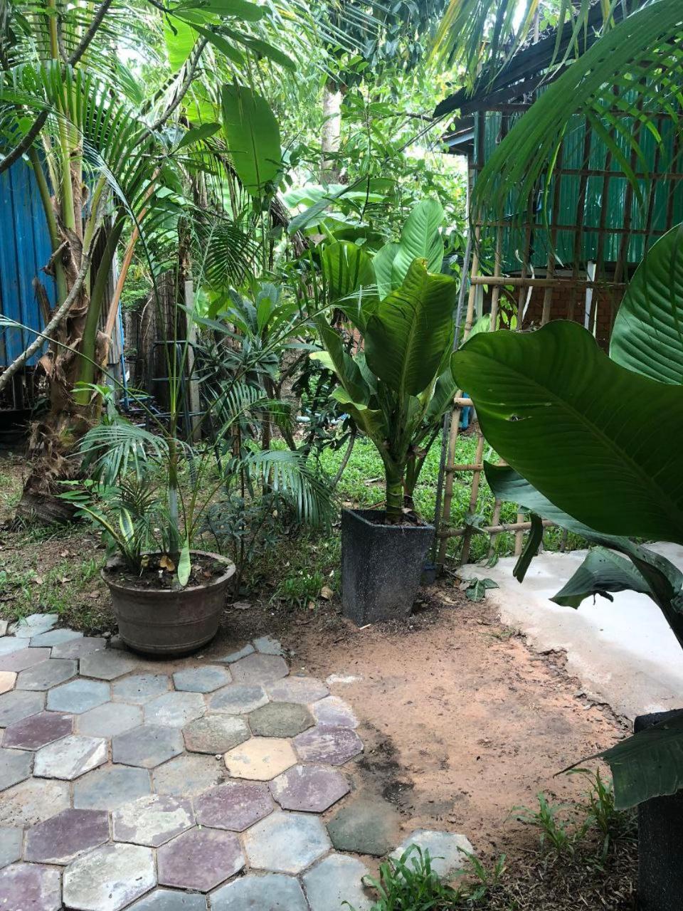Sok Phen Homestay Сием Реап Екстериор снимка