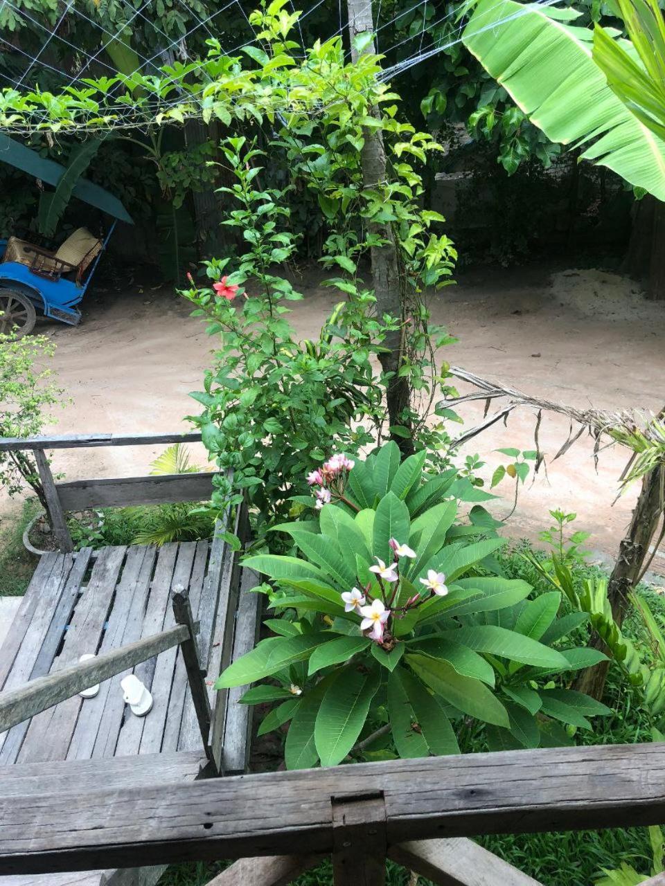 Sok Phen Homestay Сием Реап Екстериор снимка