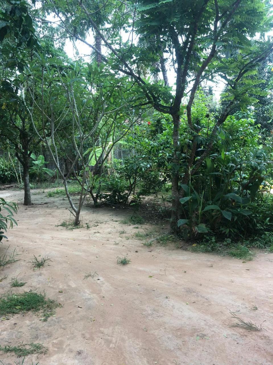 Sok Phen Homestay Сием Реап Екстериор снимка