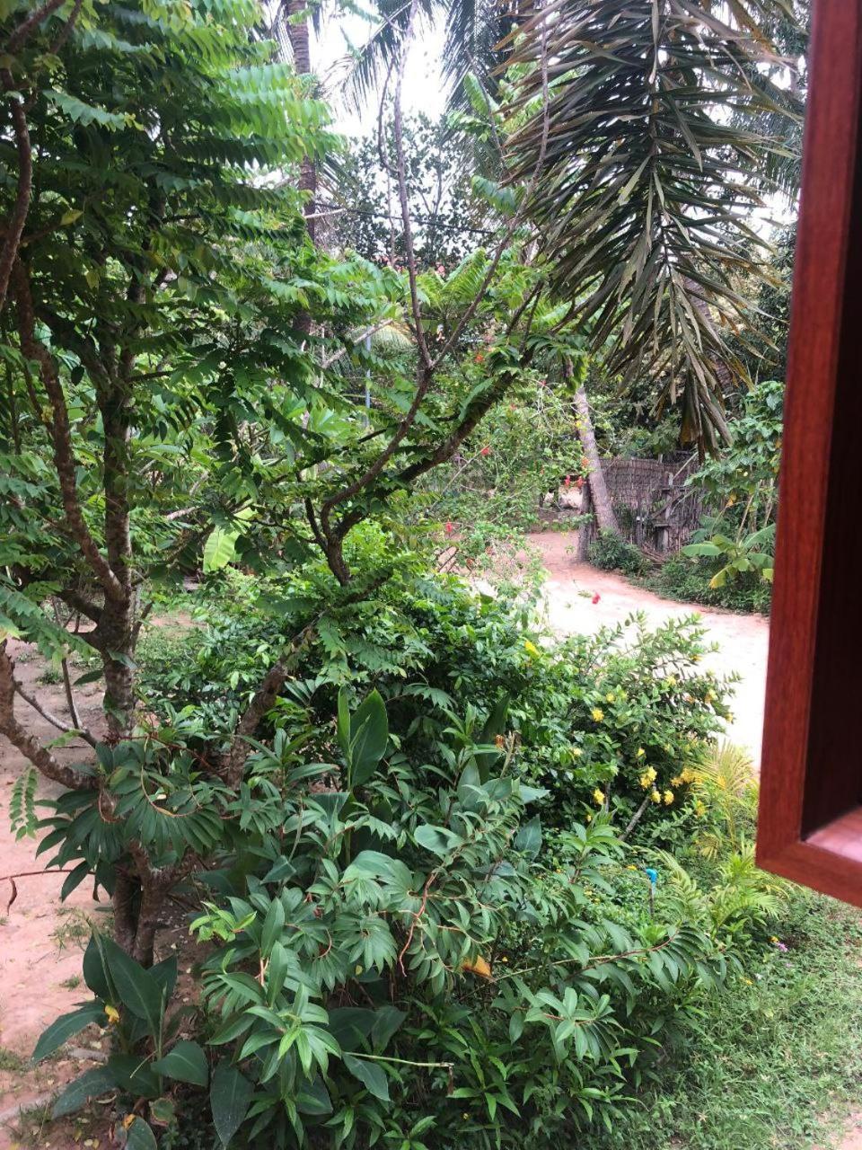 Sok Phen Homestay Сием Реап Екстериор снимка