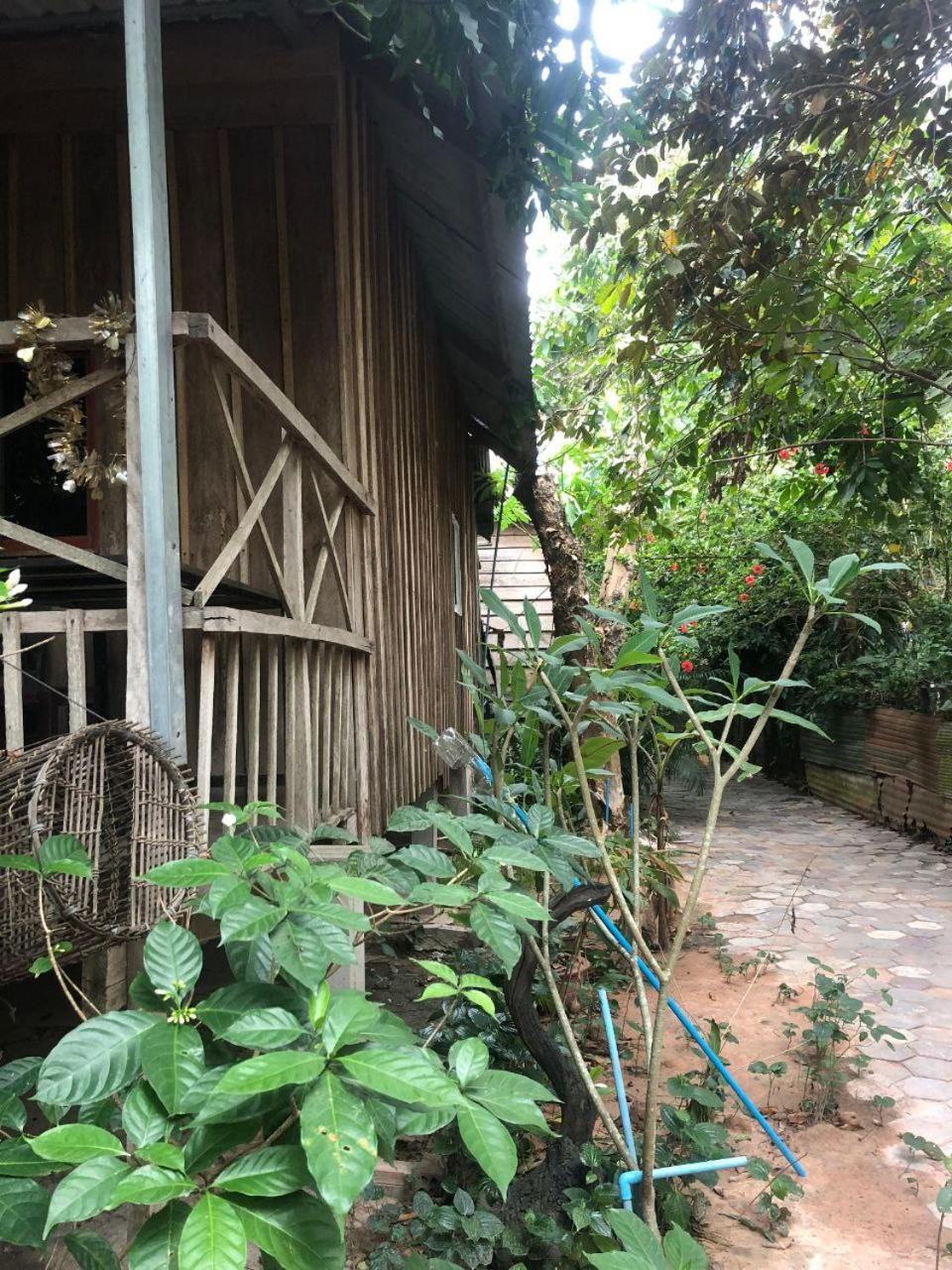 Sok Phen Homestay Сием Реап Екстериор снимка